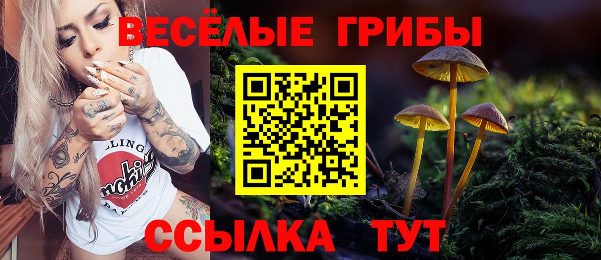 Кизилюрт  закладки  Вход с VPN  Галлюциногенные грибы ЛСД 