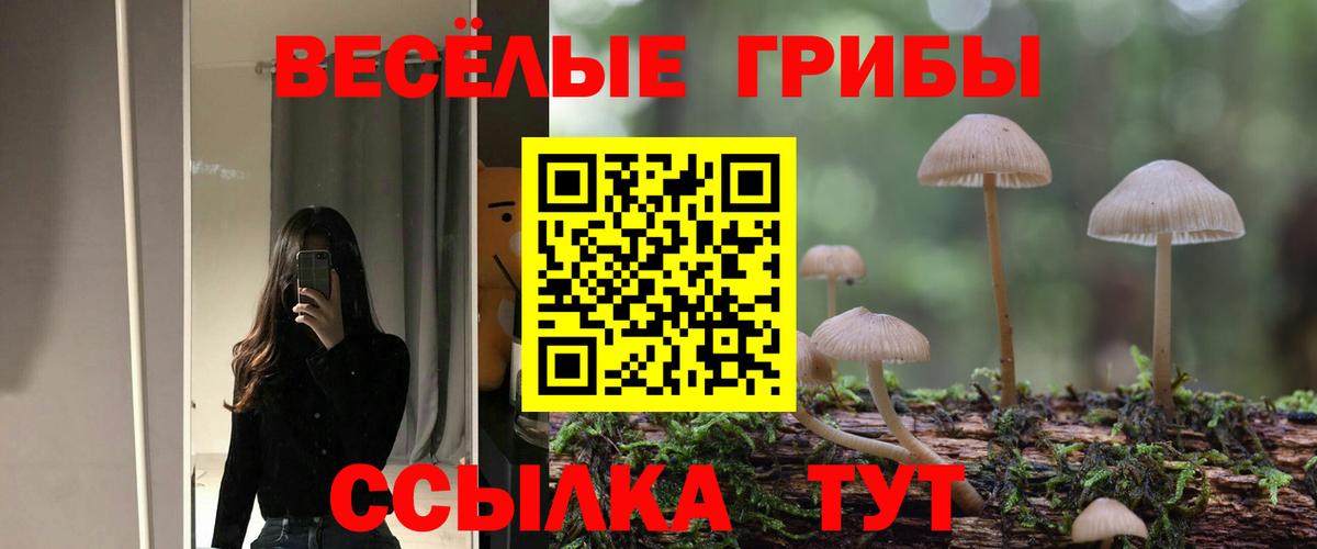 Псилоцибиновые грибы Magic Shrooms Кизилюрт
